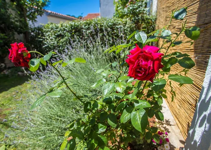 Apartment Rosse